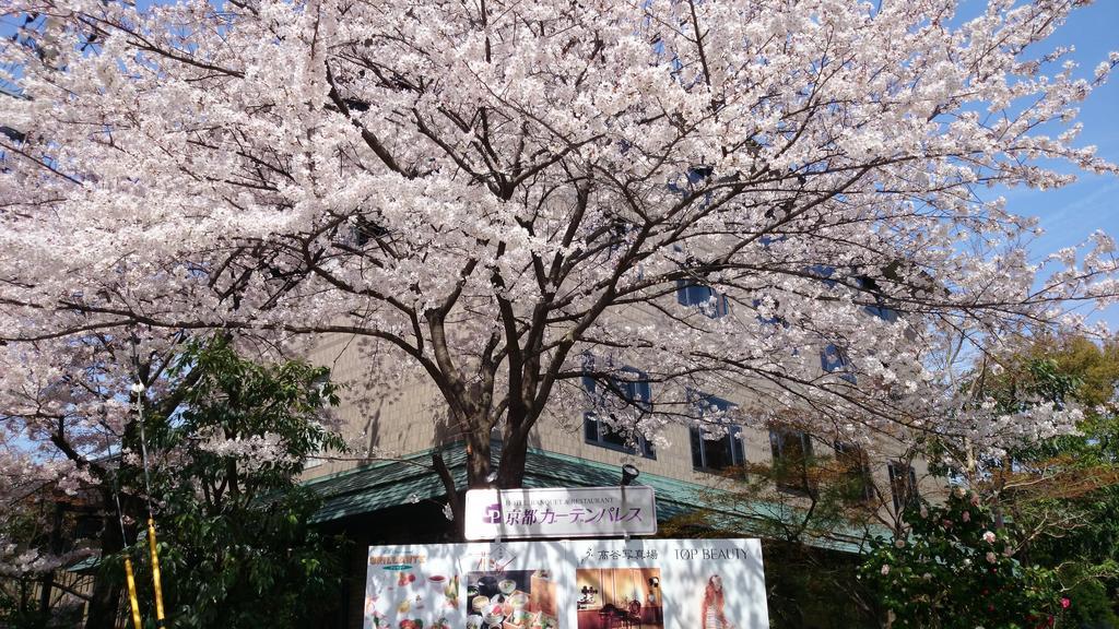 Kyoto Garden Palace Экстерьер фото