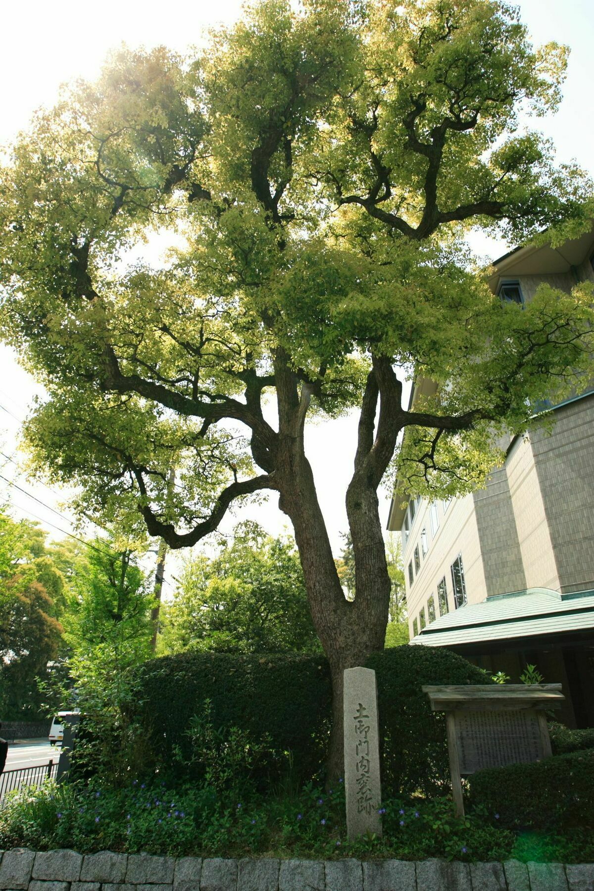 Kyoto Garden Palace Экстерьер фото