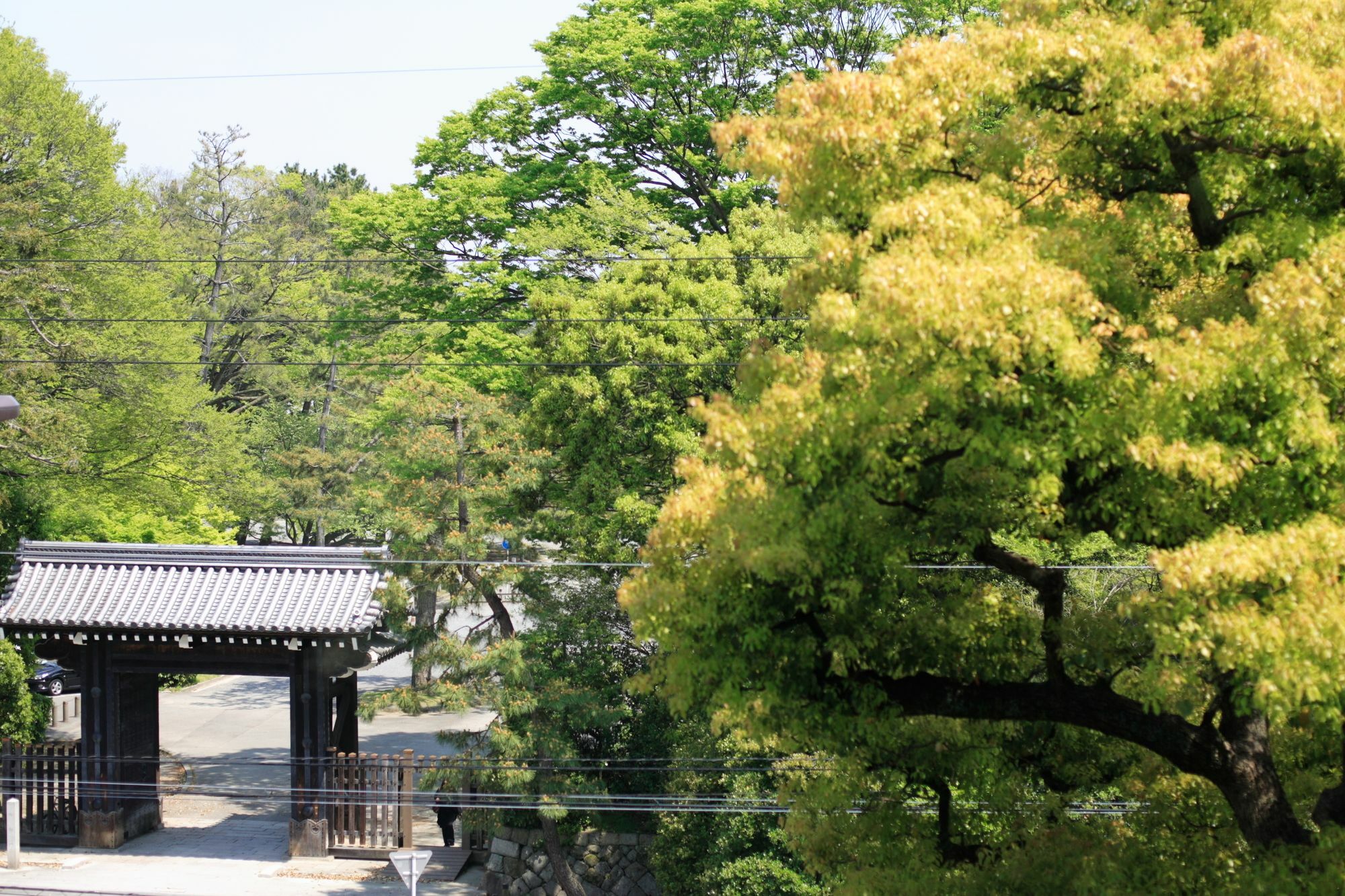 Kyoto Garden Palace Экстерьер фото